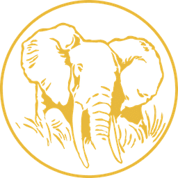 Africa Productions